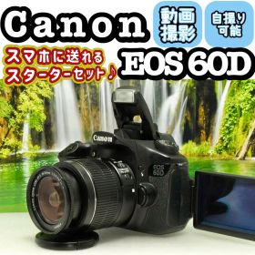 Canon EOS 60D ❤️キヤノン 一眼レフ デジタル 一眼レフ カメラ
