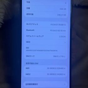 海外版iPhone 16 Pro Max 256GB,美品,バッテリーは97％