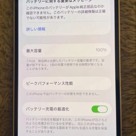 Apple iPhone 12 64GB SIMフリー バッテリー100%
