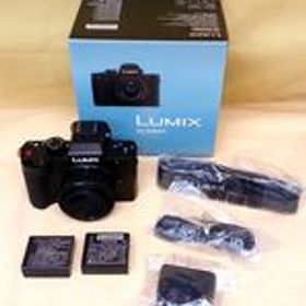 ミラーレス一眼 レンズキット DC-G100D PANASONIC
