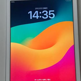 iPad 代6世代本体 端末の調子良好
