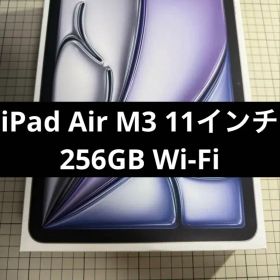 iPad Air M3 256GB 11インチ スペースグレイ（Wi-Fi）