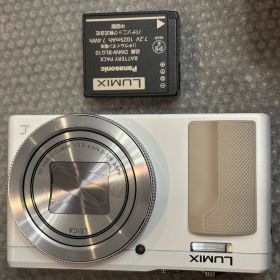 Panasonic LUMIX DMC-TZ85 26010714