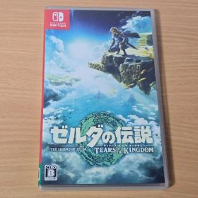 ゼルダの伝説 ティアーズ オブ ザ キングダム Switch