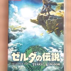 ゼルダの伝説 ティアーズ オブ ザ キングダム