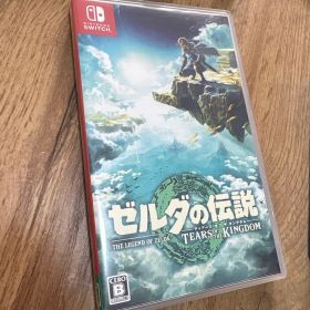 ゼルダの伝説 ティアーズ オブ ザ キングダム