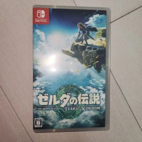 ゼルダの伝説 ティアーズ オブ ザ キングダム