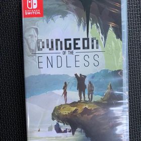ダンジョン オブ ジ エンドレス Switch版