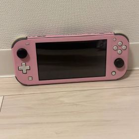 Nintendo Switch Lite 本体のみ