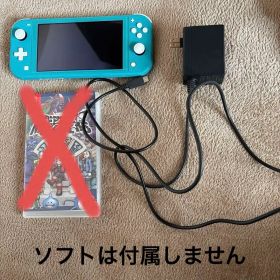 Switch Lite本体と充電器