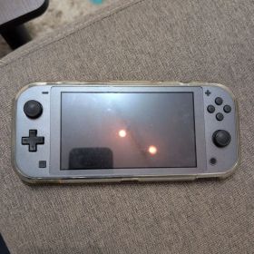 Nintendo Switch Lite ポケモンデザイン グレー