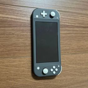 Switch Lite + ケース + 64GB microSD