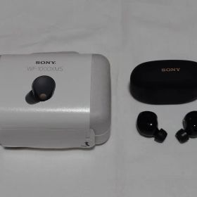 SONY Bluetooth イヤホン WF-1000XM5