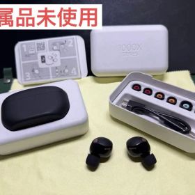 SONY ワイヤレスノイズキャンセリングステレオヘッドセットWF-1000XM5