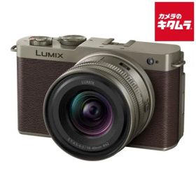【新品】パナソニック LUMIX DC-S9N-N ZLK 広角ズームレンズキット チタンゴールド ルミックス ミラーレス一眼カメラ フルサイズ 高画素 《納期約２－３週間》