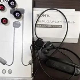 ソニー(SONY) ワイヤレスイヤホン WI-C100:Bluetooth対応
