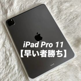 【早い者勝ち】iPad Pro 11 第３世代 256GB 【すぐ発送】