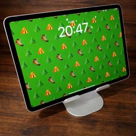 美品ipad pro 11インチ 第四世代 128GB セルラー BT90%