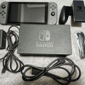 Nintendo Switch グレー 本体 + 付属品+microSDカード