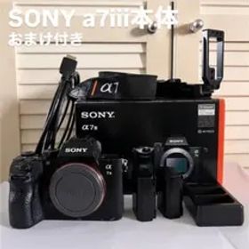 【お値下げ】SONY α7iii 本体 おまけ付き