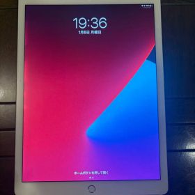 iPad pro 12.9インチ 第2世代 Apple Pencil