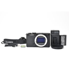 ■ほぼ新品■ パナソニック DC-S9 LUMIX S9 #C796(ミラーレス一眼)