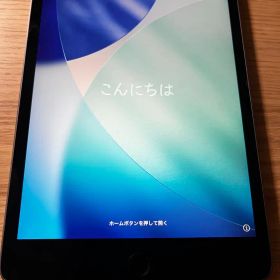 Apple iPad mini 第5世代 64Gb wifi