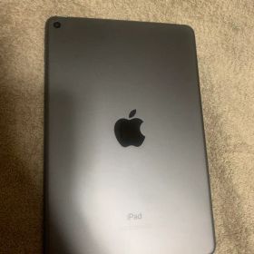 iPad mini 2019 (第5世代) 256GB 新品 25,800円 中古 | ネット最安値の