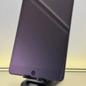 Apple iPad mini 5 256GB スペースグレー 本体