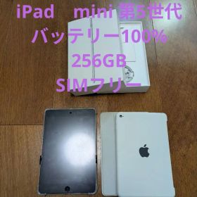 バッテリー100% iPad mini 第5世代 Wi-Fi+Cellular