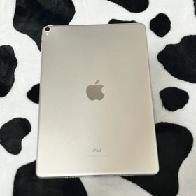 iPad Pro 10.5インチ 512GB WiFiモデル ※訳あり