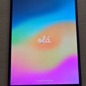 iPad Pro 第1世代256GB Wi-Fi + Cellularモデル