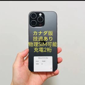 Apple iPhone 16 Pro Max Blackl 256GB CA版