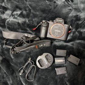 α7 II 新品 88,000円 中古 54,800円 | ネット最安値の価格比較