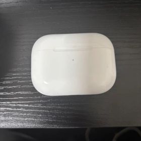 Apple AirPods Pro 第1世代 本体