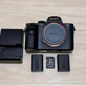 SONY ソニー 7S 4K ILCE-7SM2 デジタルカメラ