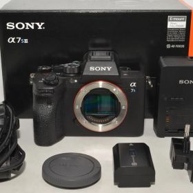 251364★極上★SONY(ソニー) フルサイズ ミラーレス一眼カメラ α7SIII ボディ(レンズなし) ブラック ILCE-7SM3