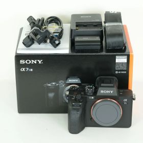 [良品 | シャッター数66,270回] SONY α7S III（ILCE-7SM3） | SONY Eマウント