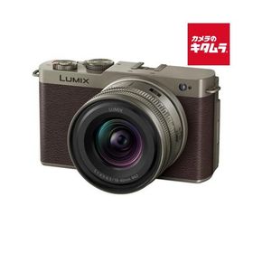 パナソニック LUMIX DC-S9N-N ZLK 広角ズームレンズキット チタンゴールド ルミックス ミラーレス一眼カメラ フルサイズ 高画素 《納期約２−３週間》