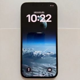 Apple iPhone 12 Pro グラファイト