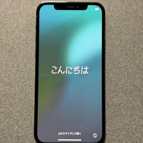 Apple iPhone 12 Pro 256GB グラファイト本体