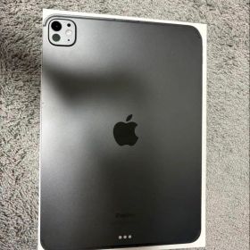 iPad Pro M4 11インチWi-Fi+Cellular 値下げ不可