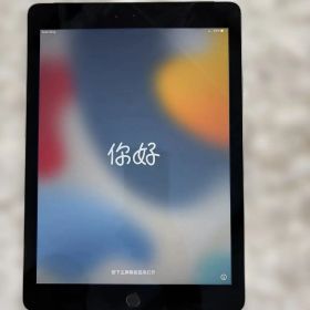 ジャンク品 iPad Air 2 本体