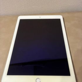 Apple iPad Air2 Wi-Fi + Cellular シルバー