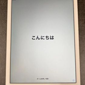 iPad Air 2 Wi-Fi+Cellular 16GB シルバー