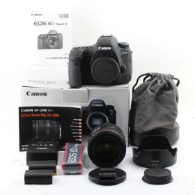 【美品】Canon EOS 6D Mark II + EF 24-70mm