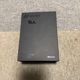 【イヤホン】AVIOT×N/A コラボモデル 「TE-D01gv-na」