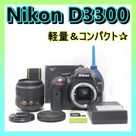 ⭐️ショット数約２３９０回⭐️Nikon D3300 ニコン デジタル一眼レフ