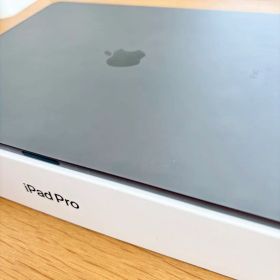 Apple iPad Pro 12.9インチ 第4世代 256GB Wi-Fi