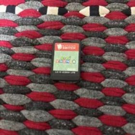 あつまれどうぶつの森と、ポケモンマスター バイオレットポッケージなし